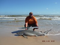 Team Southern Sharkers - Donnie Tidwell