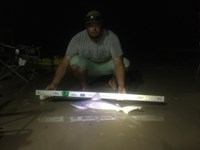 Team JackWagon II - Tommy Whitzel