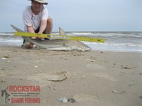 Team Rockstar - Scott Nelson