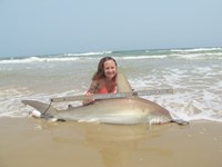 Team Sharkathon - Bethany Lyn