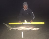 Controlled Chaos - Rey Contreras