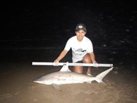 Fishing Locos - Nora Cantu