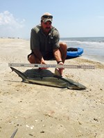 Stacking Gills - Peter  Counahan