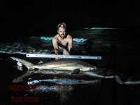 Team Rockstar - Brad Tabor