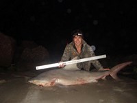 Hammerhead Mafia  - rolland hyatt