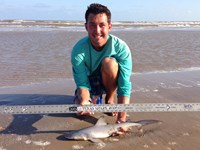 Sharkaholics - Zach Crain