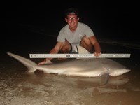 Sharkaholics - Zach Crain