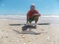 Keep It Reel - Joe  Garcia