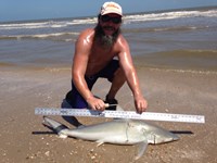 Morton saltwater fishing - William Agnew