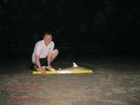 Team Rockstar - Scott Nelson