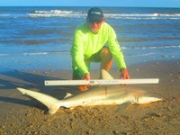 Keep It Reel - Ron Richmond