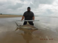 Team Southern Sharkers - Eduardo Mejia