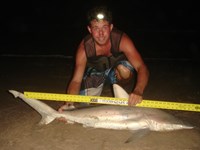 Sharkaholics - Zach Crain