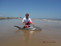 Team Southern Sharkers - Nick Johnson