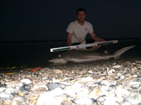 CatchSharks - Matt Hyde