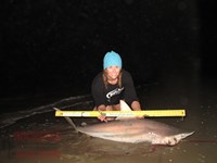 Team Rockstar - Dani Zirkel