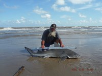 Team Southern Sharkers - David Tidwell