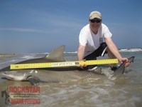 Team Rockstar - Scott Nelson