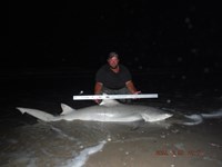 Team Southern Sharkers - Donnie Tidwell