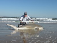 CatchSharks - Steven Kennedy