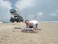 CatchSharks - Matt Hyde