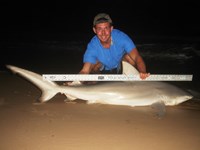 Sharkaholics - Zach Crain