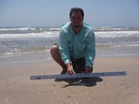 Stacking Gills - Jeremy  Counahan