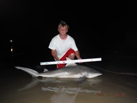 Team Southern Sharkers - Nick Johnson