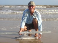 Sharkaholics - David Crain