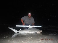 Team Southern Sharkers - Donnie Tidwell