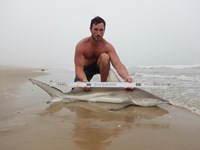 Keep It Reel - Kelley  O'Brien