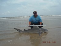 Team Southern Sharkers - Donnie Tidwell