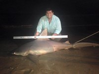 UTC Surf Fishing - Kyle Gillam