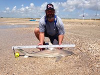 Morton saltwater fishing - Robert Morton