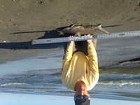 TEXAS SURF FISHING - DEREK SMITH