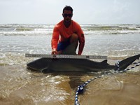 Keep It Reel - Kelley  O'Brien