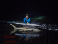 Team Rockstar - Brad Tabor