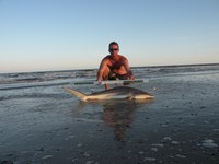 CatchSharks - Steven Kennedy