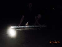 Bolivar Bums - pat zecca