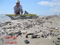 Team Rockstar - Scott Nelson