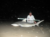 CatchSharks - Steven Kennedy