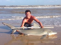 Sharkaholics - Zach Crain