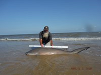 Team Southern Sharkers - David Tidwell