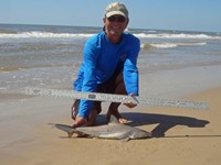 Sharkaholics - David Crain