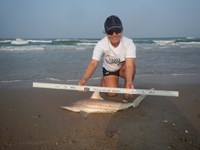 Fishing Locos - Nora Cantu