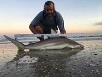 Morton saltwater fishing - Robert Morton