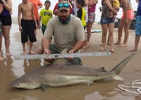 Southern Shark  Outcasts  - Jesse Garza