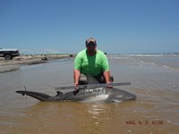 Team Southern Sharkers - Donnie Tidwell
