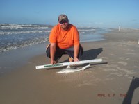 Team Southern Sharkers - Donnie Tidwell