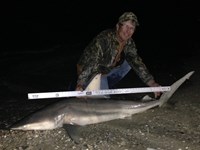 Sharkaholics - David Crain